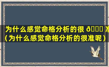 为什么感觉命格分析的很 🐕 准（为什么感觉命格分析的很准呢）